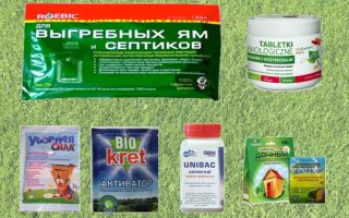 Популярные средства для любых выгребных ям и туалетов