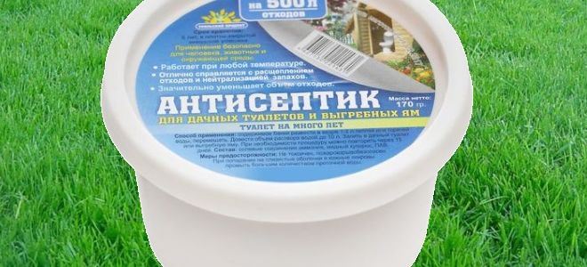Нужен ли антисептик для выгребной ямы?